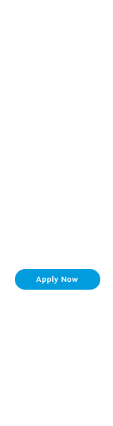 No Interest if paid in full in 6 months on purchases of $99+*